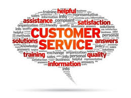 Professional Course in Customer Service