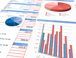  Budgeting, Planning & Management Report